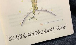 再没有你的温柔 再没有你的温柔