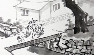 乡村素描阅读答案