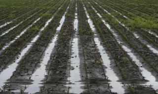 泄洪区有补偿吗 泄洪区有补偿吗