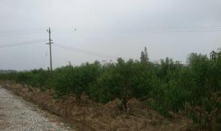 安徽省合肥市长丰县