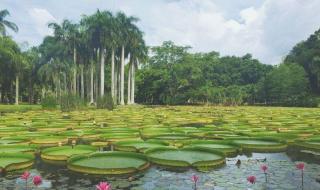 西双版纳傣族自治州