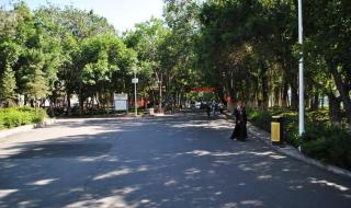 新疆的大学排名 新疆的大学排名