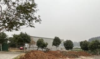 四川停车场大火 四川停车场大火