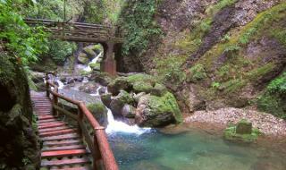 成都到九寨沟怎么走