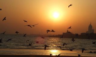 金飞讲故事2013全集 金飞讲故事2013全集