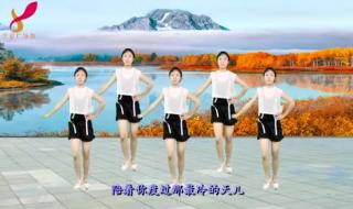 有一种爱叫放手歌词