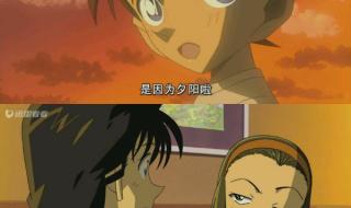 柯南水平线上的阴谋