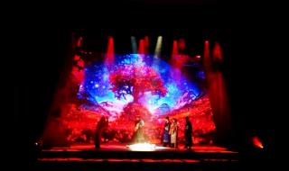 张起灵过去在干嘛 张起灵过去在干嘛