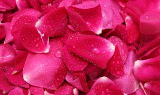 最有用的酵素 哪个品牌的酵素最好