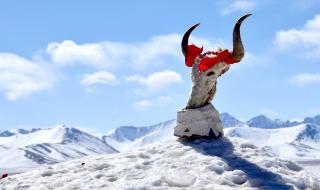 青藏高原有多高 青藏高原到底有多高