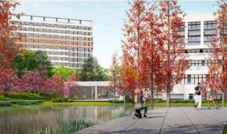 艺术类大学 艺术类大学