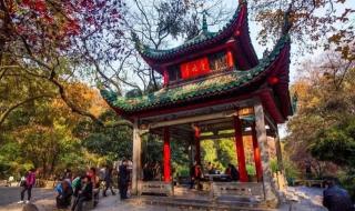 中南大学商学院