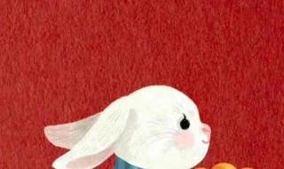 2023年属兔百年难遇