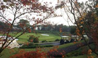 重庆铁山坪 重庆铁山坪