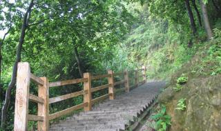 广州凤凰山森林公园 广州凤凰山森林公园