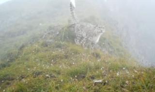 四川自然保护区 四川自然保护区