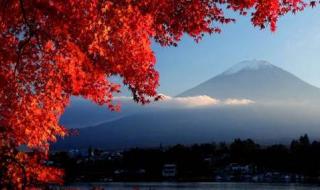 樱花国际日语费用 樱花国际日语费用