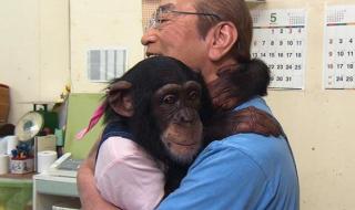 猩猩狗狗大冒险 猩猩狗狗大冒险