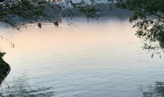 金星伴月象征着什么 金星伴月象征着什么