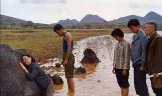 子夜电视剧 子夜电视剧