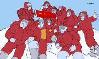 实鼠不易牛转乾坤图片 实鼠不易牛转乾坤图片