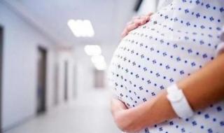 孕妇吃鹅蛋 孕妇吃鹅蛋