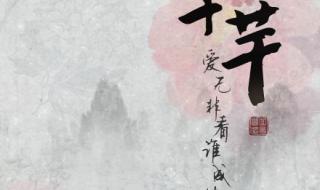 回音哥芊芊 回音哥芊芊