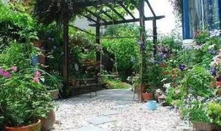 压双枝什么姿势 压双枝什么姿势