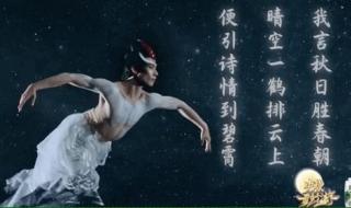 中秋奇妙游完整版 中秋奇妙游完整版