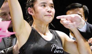 世界职业拳击比赛