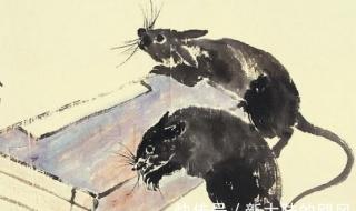 推心置腹的意思是什么,出处是哪里 推心置腹是什么生肖