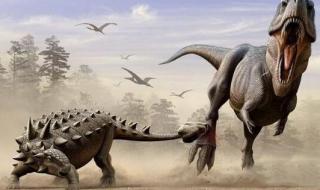 小霸王超级坦克大战 小霸王超级坦克大战