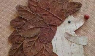 儿童树叶贴画怎么做 树叶画的简单做法