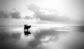 五味杂陈的电车行