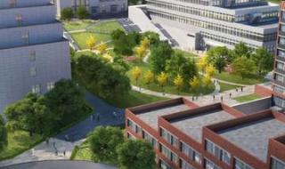 新建职业技术学校