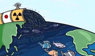 日本排放核废水事件