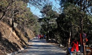 香山停车短信通知 香山停车短信通知