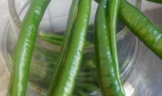 菜刀辣椒鱼头打一菜名 菜刀辣椒鱼头打一菜名