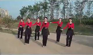 我从草原来广场舞 我从草原来广场舞