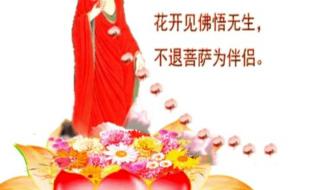 今生我在修佛缘原唱