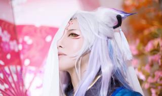 阴阳师妖狐皮肤图鉴 阴阳师妖狐皮肤图鉴