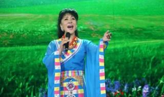 我是你的格桑花原唱